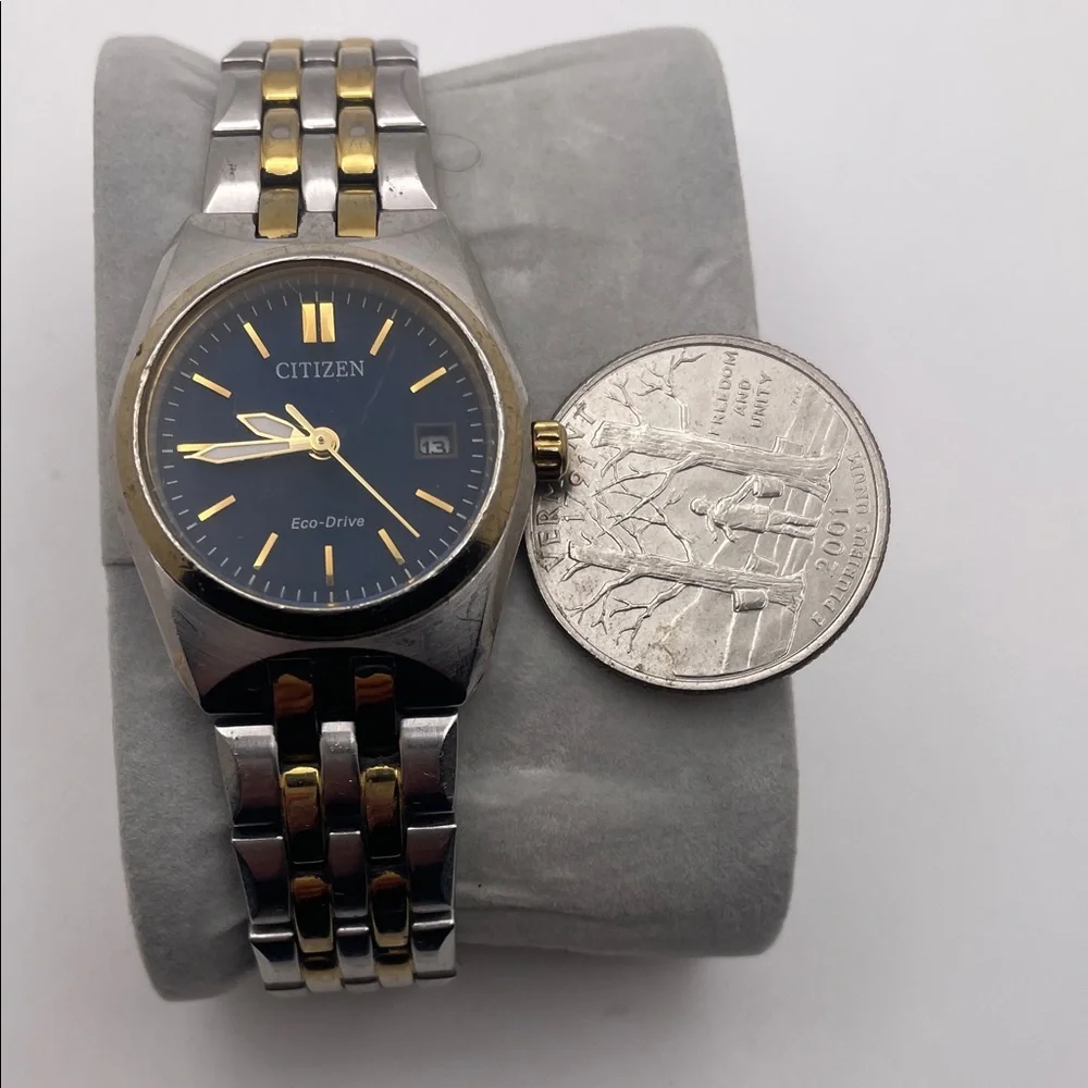 Citizen Eco-Drive Blue and Gold Watch